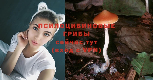 стаф Алексеевка