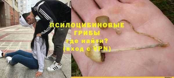 стаф Алексеевка