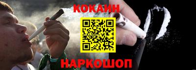индика Камень-на-Оби
