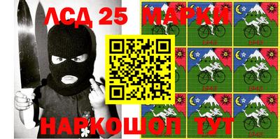 индика Камень-на-Оби