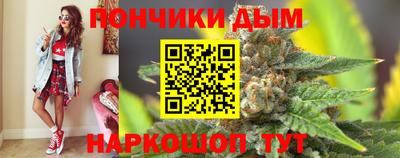 индика Камень-на-Оби