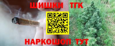 индика Камень-на-Оби