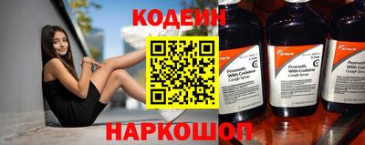 индика Камень-на-Оби