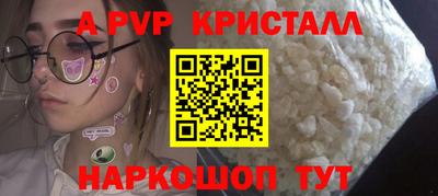 индика Камень-на-Оби