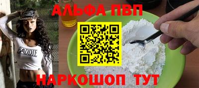 индика Камень-на-Оби