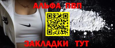 индика Камень-на-Оби