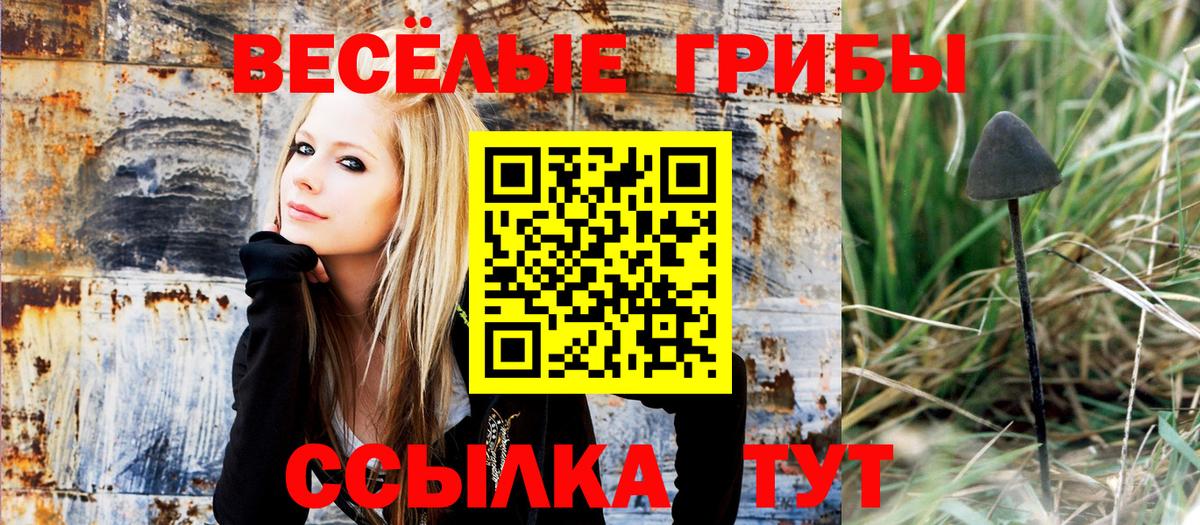 Псилоцибиновые грибы GOLDEN TEACHER Морозовск