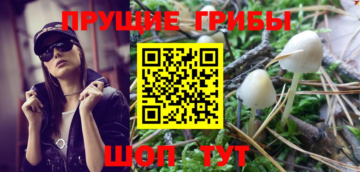 Псилоцибиновые грибы Magic Shrooms  купить наркоту  Морозовск  Вход с VPN 
